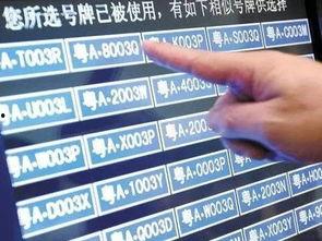 最新车牌爆料,个性化车牌来袭,车牌号码将迎来大变革!